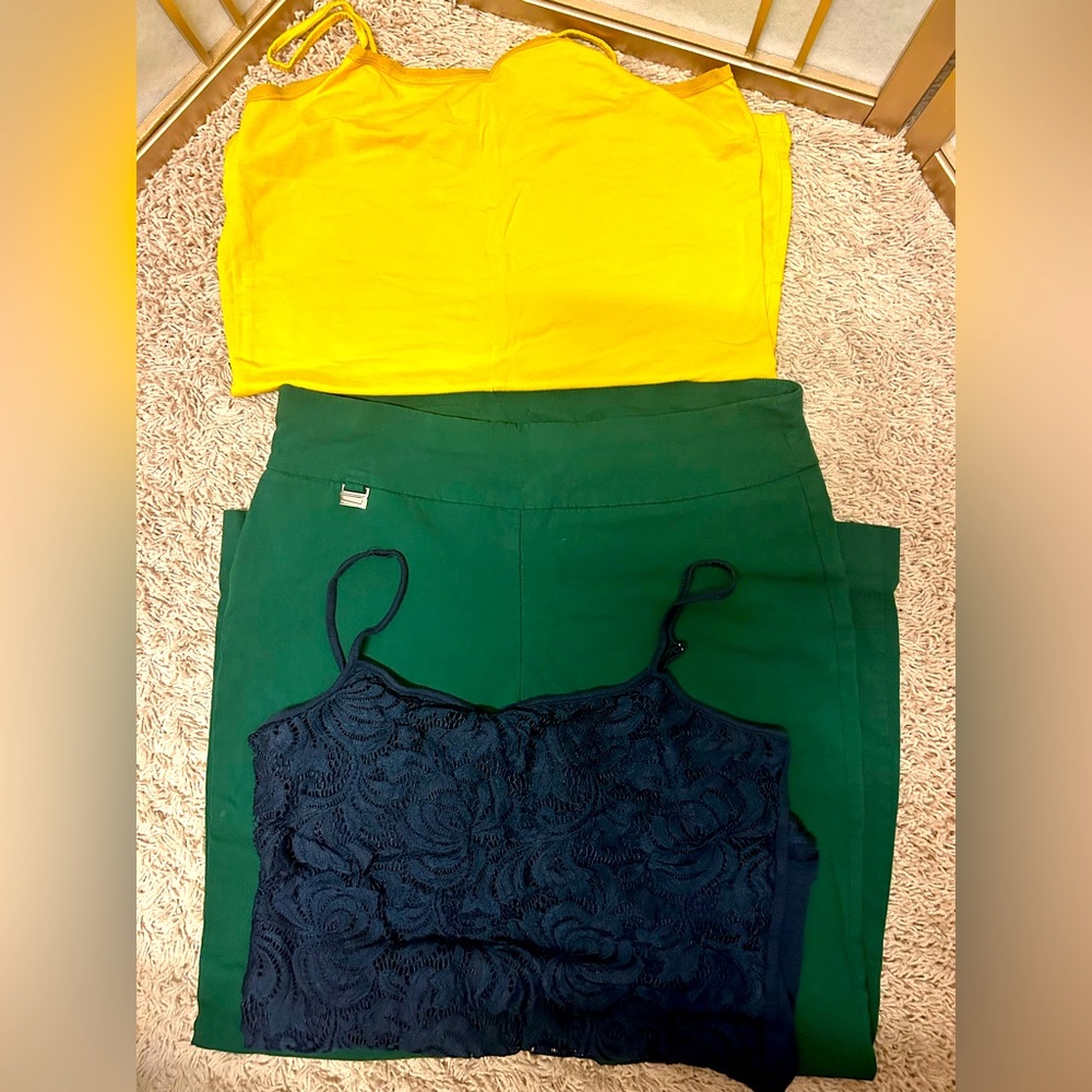 Alfani Pants and Ann Taylor Camisole